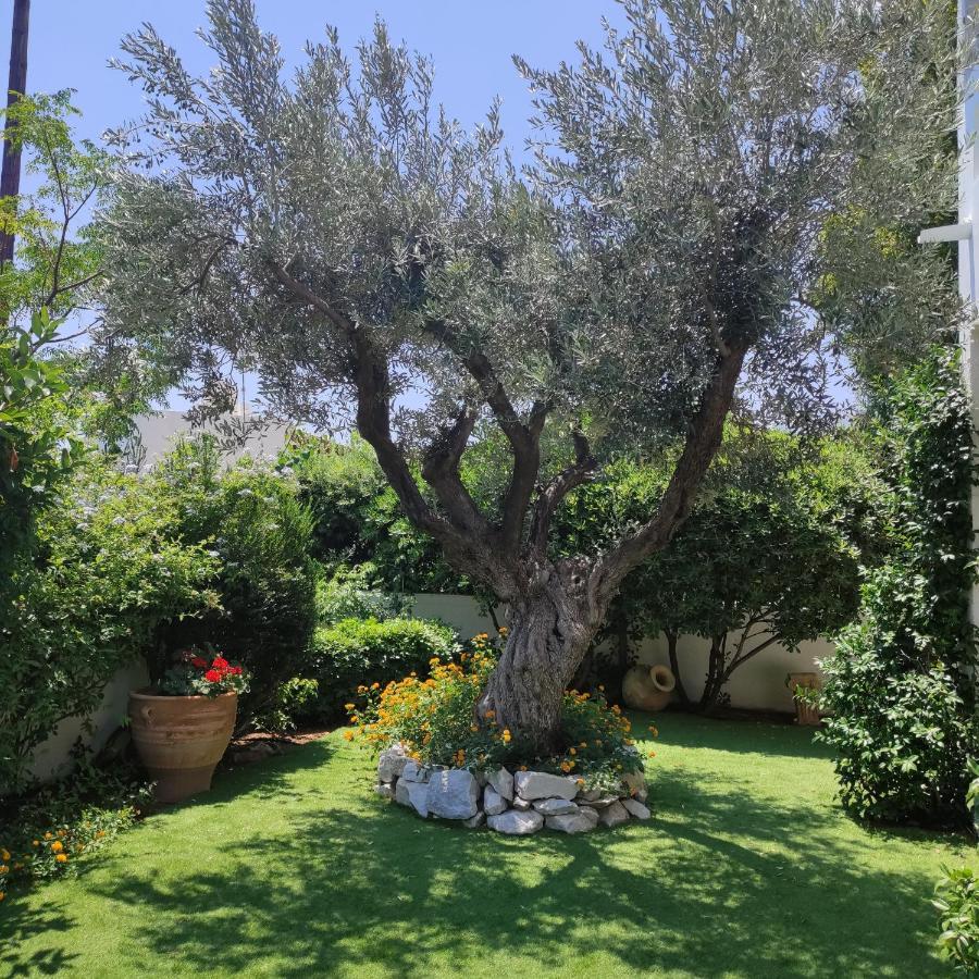 Porto Hydra - Villa Mirani Ermioni Dış mekan fotoğraf
